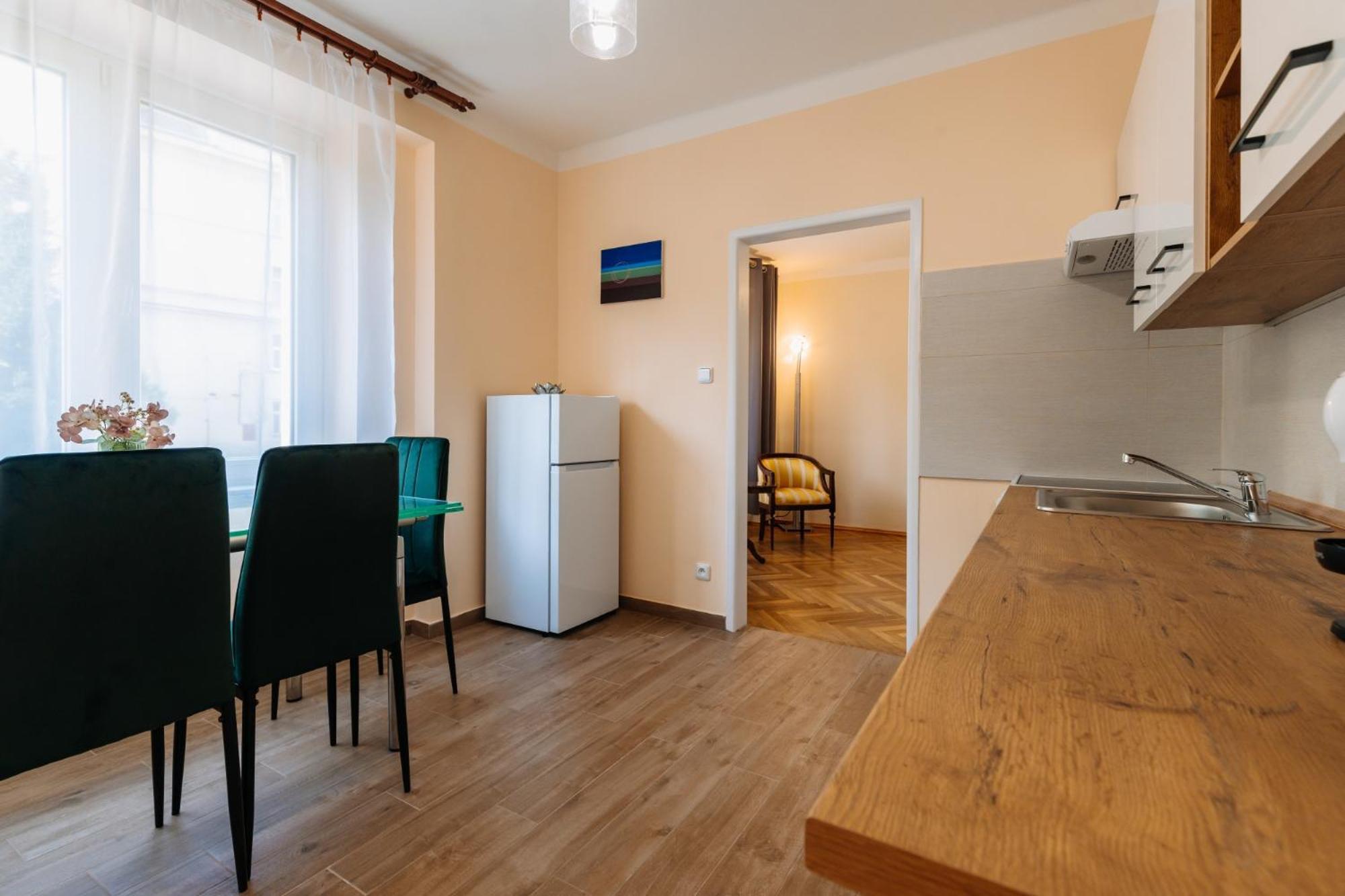 Apartments Tgm 11 Karlovy Vary Kültér fotó